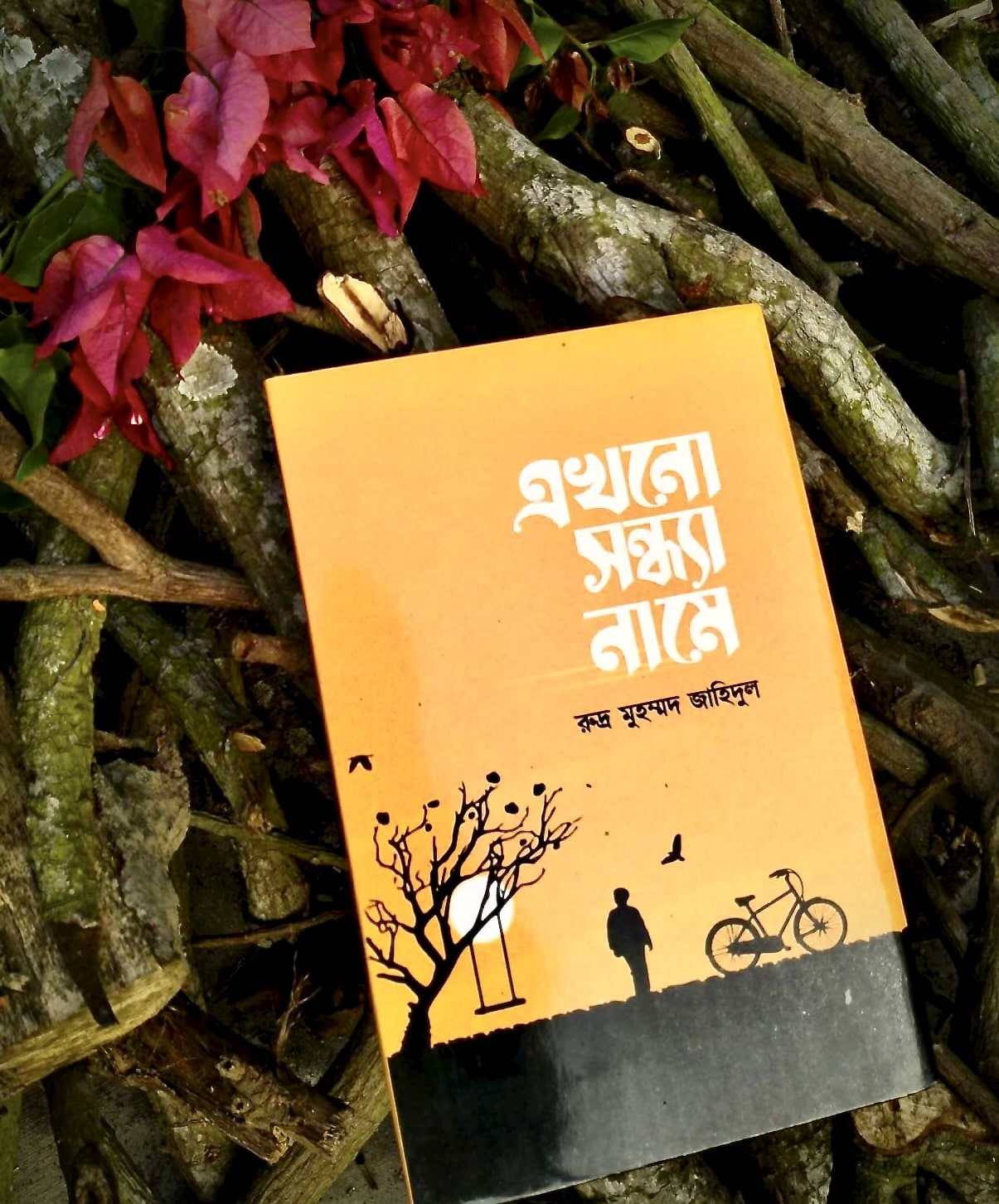 রুদ্র বই