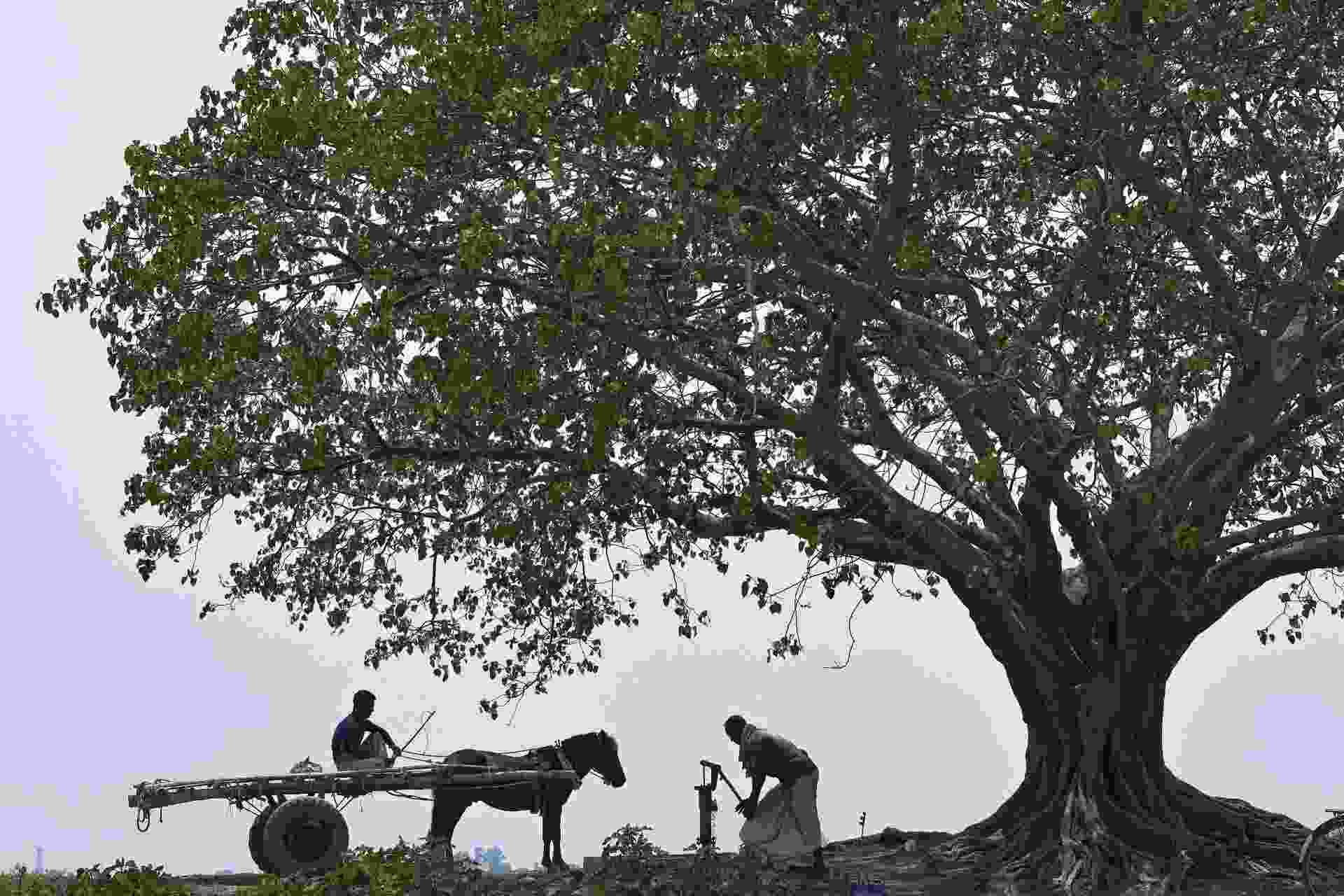 আলোর পরশমনি | সুভাষ চন্দ